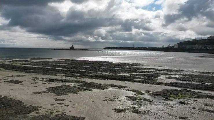 13094100_10206606804273075_8004478487902222469_n