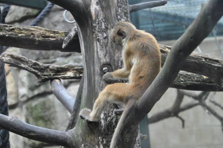 1375151_10201007238727436_412195589_n