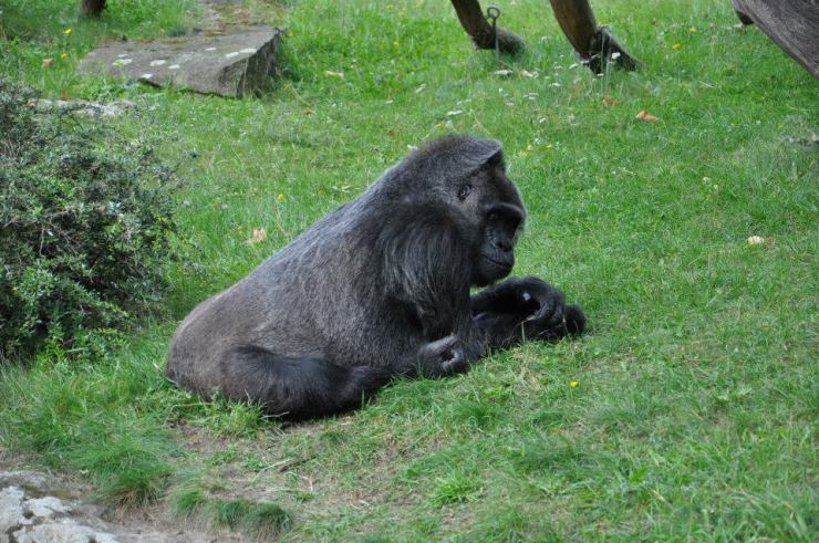 1379319_10201007242087520_1836655647_n