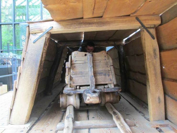 1383341_10201007250767737_2142911815_n