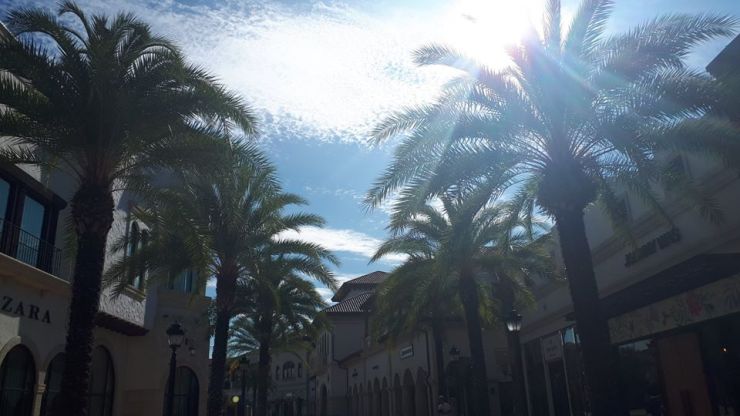 69710088_10215578481919409_4825361624950898688_o