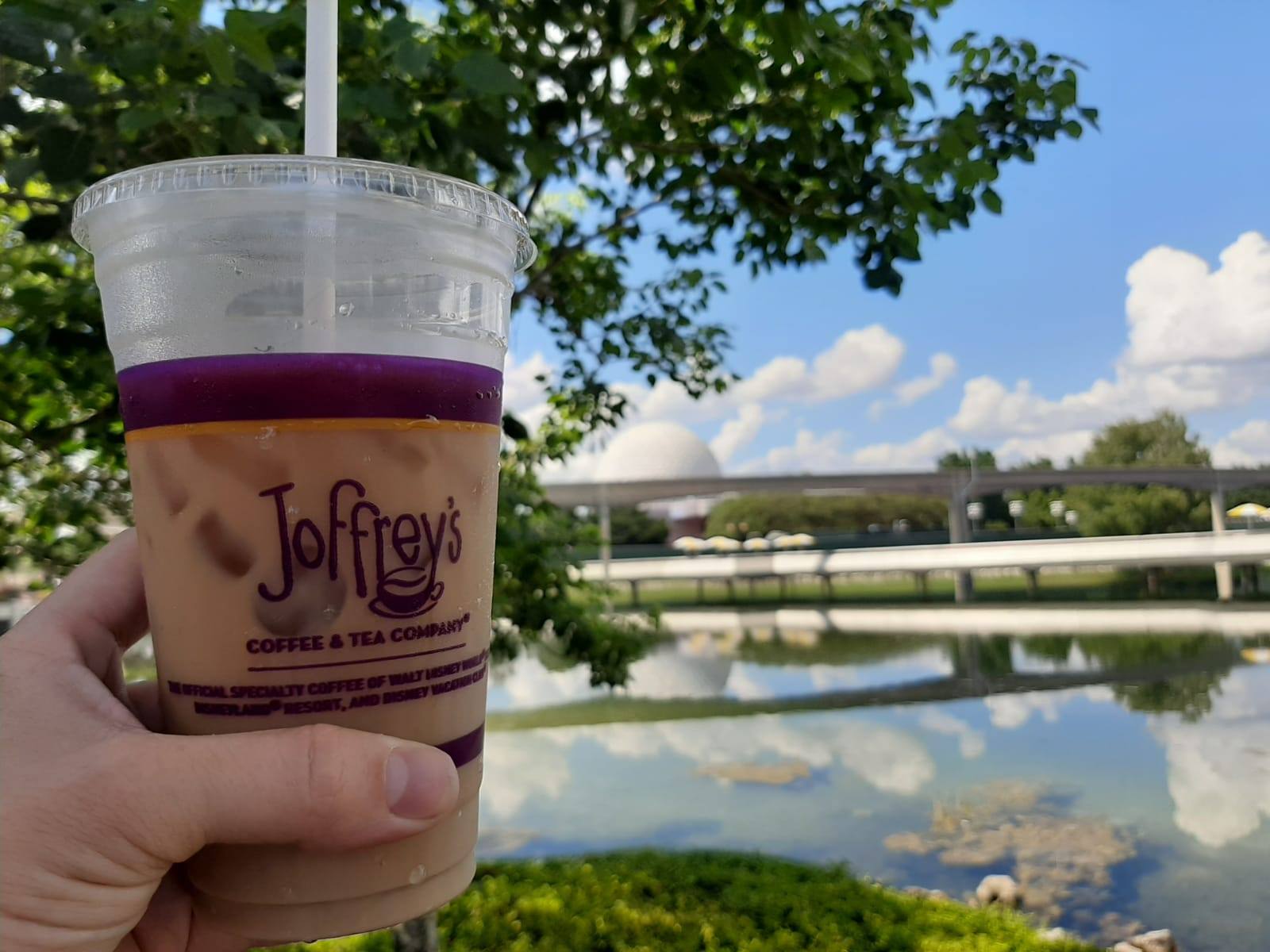 69257604_10215578466079013_7088680794327089152_o